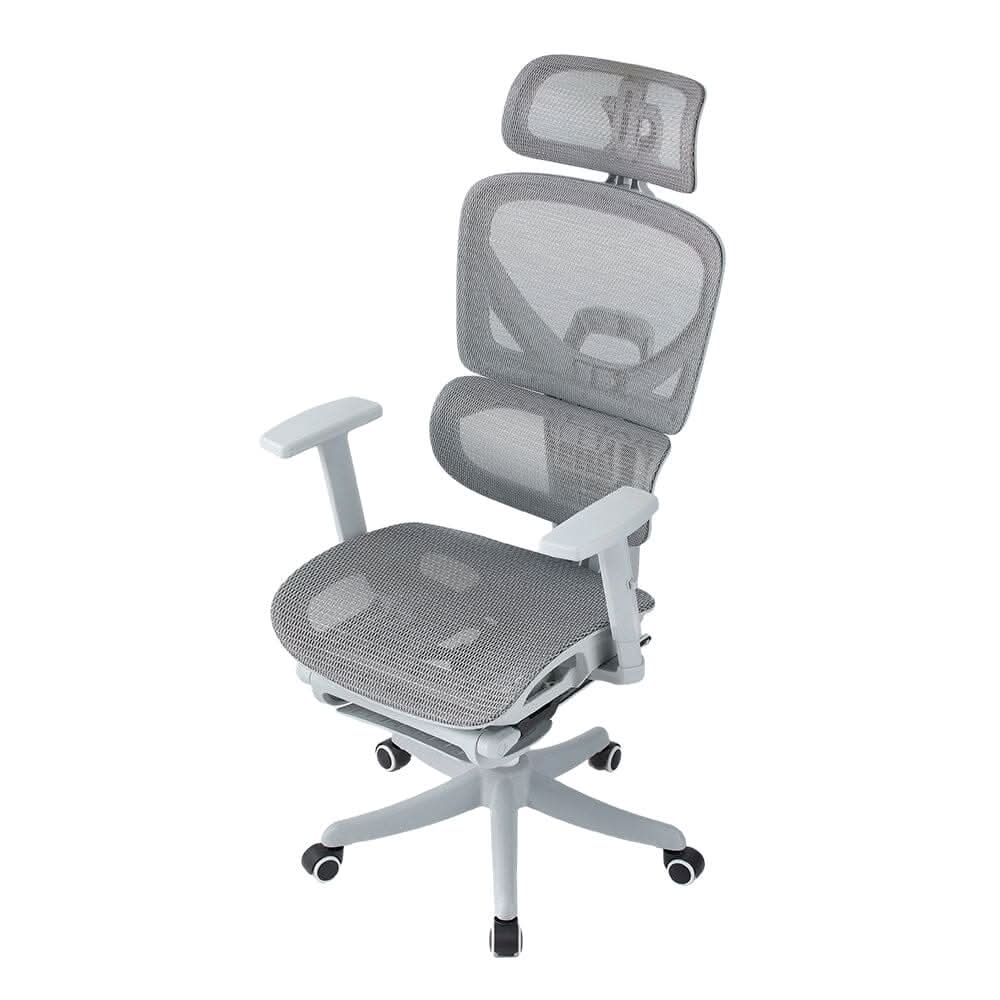 Professional Mesh Office Chair Collection Standard Regular Premium Models