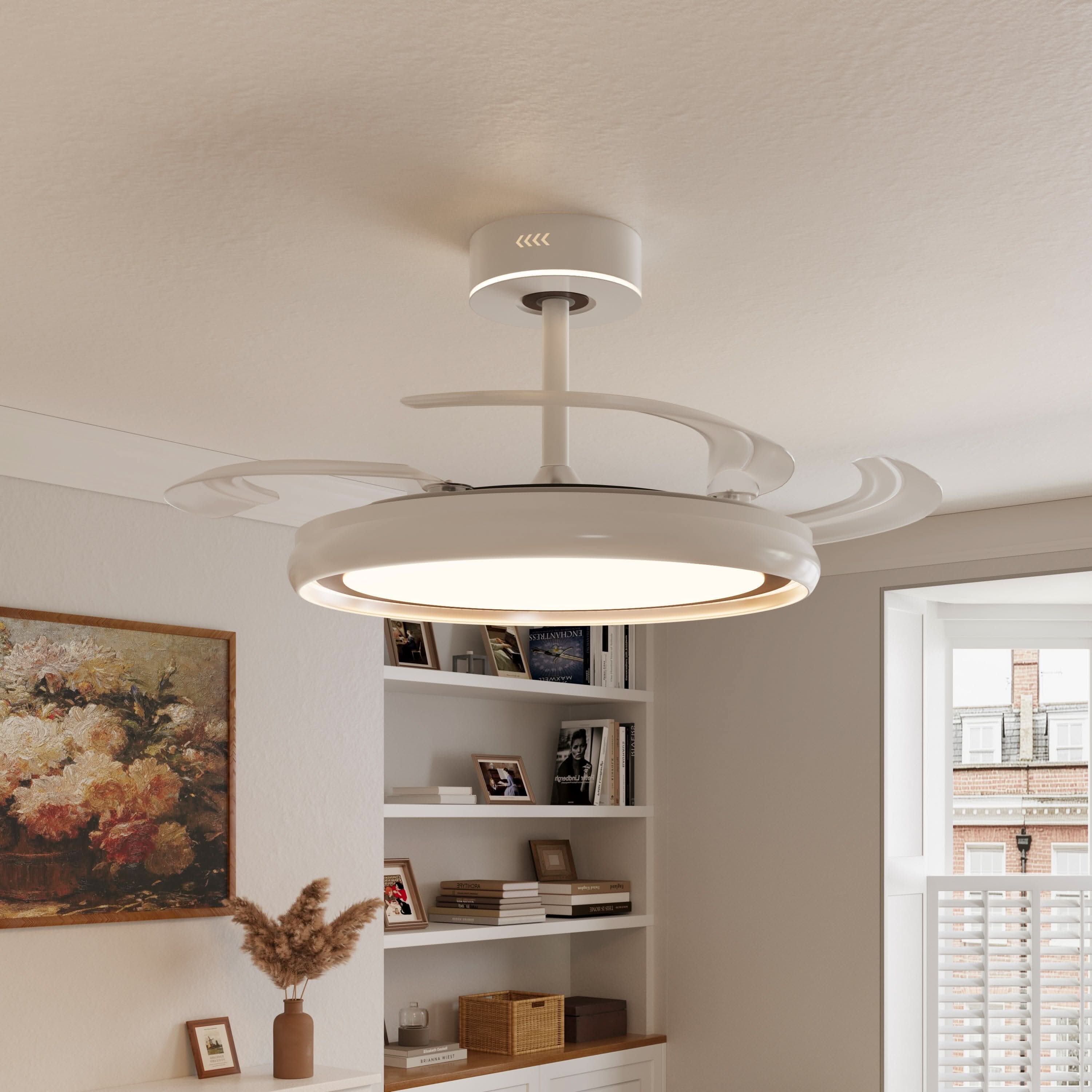 Lightsin 48 Inch Ceiling Fan with Reversible Airflow and Timer