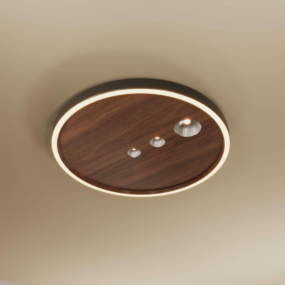 Modern 40cm Dimmable LED Ceiling Light