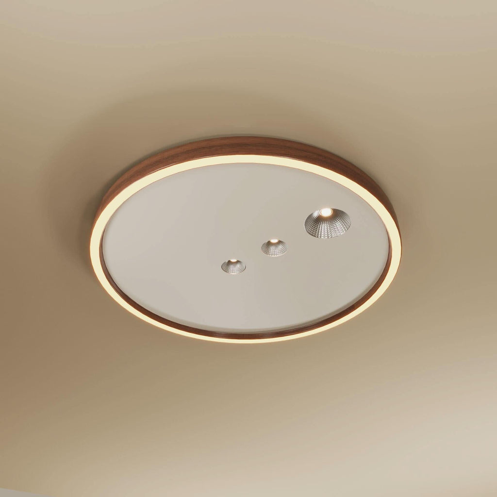 Modern 40cm Dimmable LED Ceiling Light