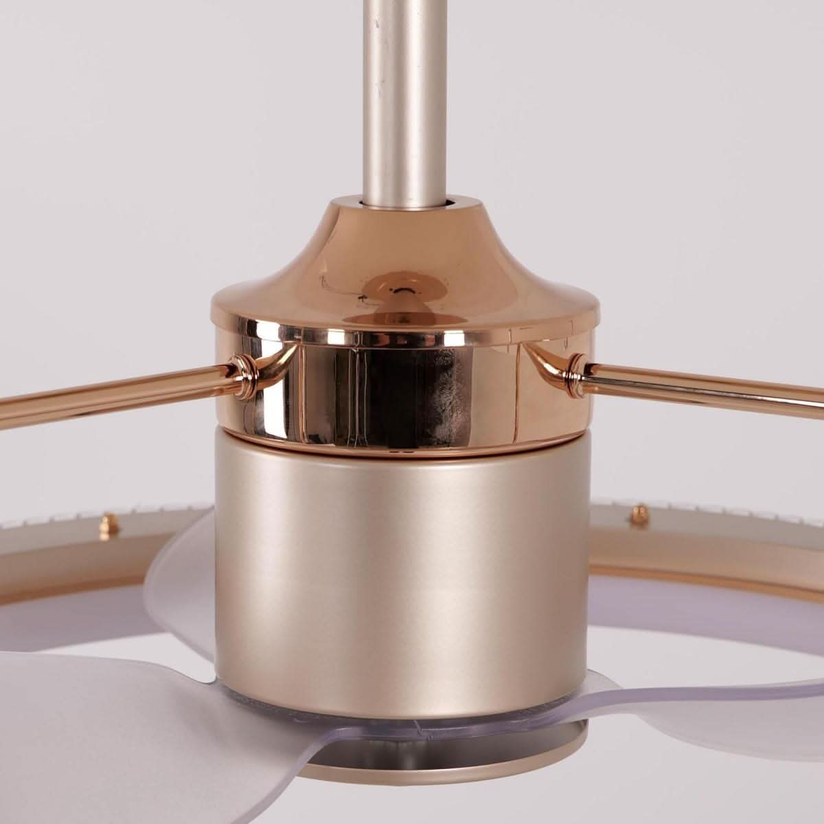 Lightsin Modern Reversible 3-Blades Metal Ceiling Fan with LED Light