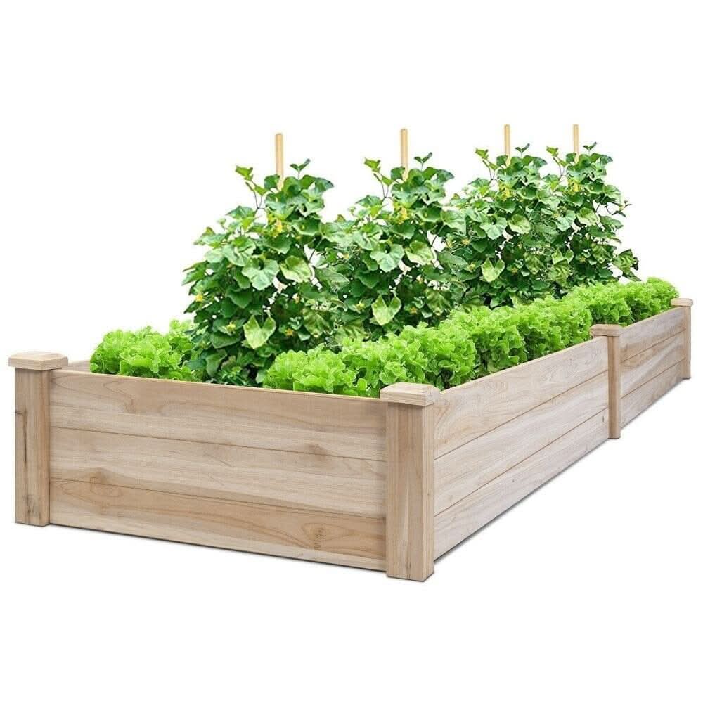 Solid Wood Raised Garden Bed with 2 Compartments
