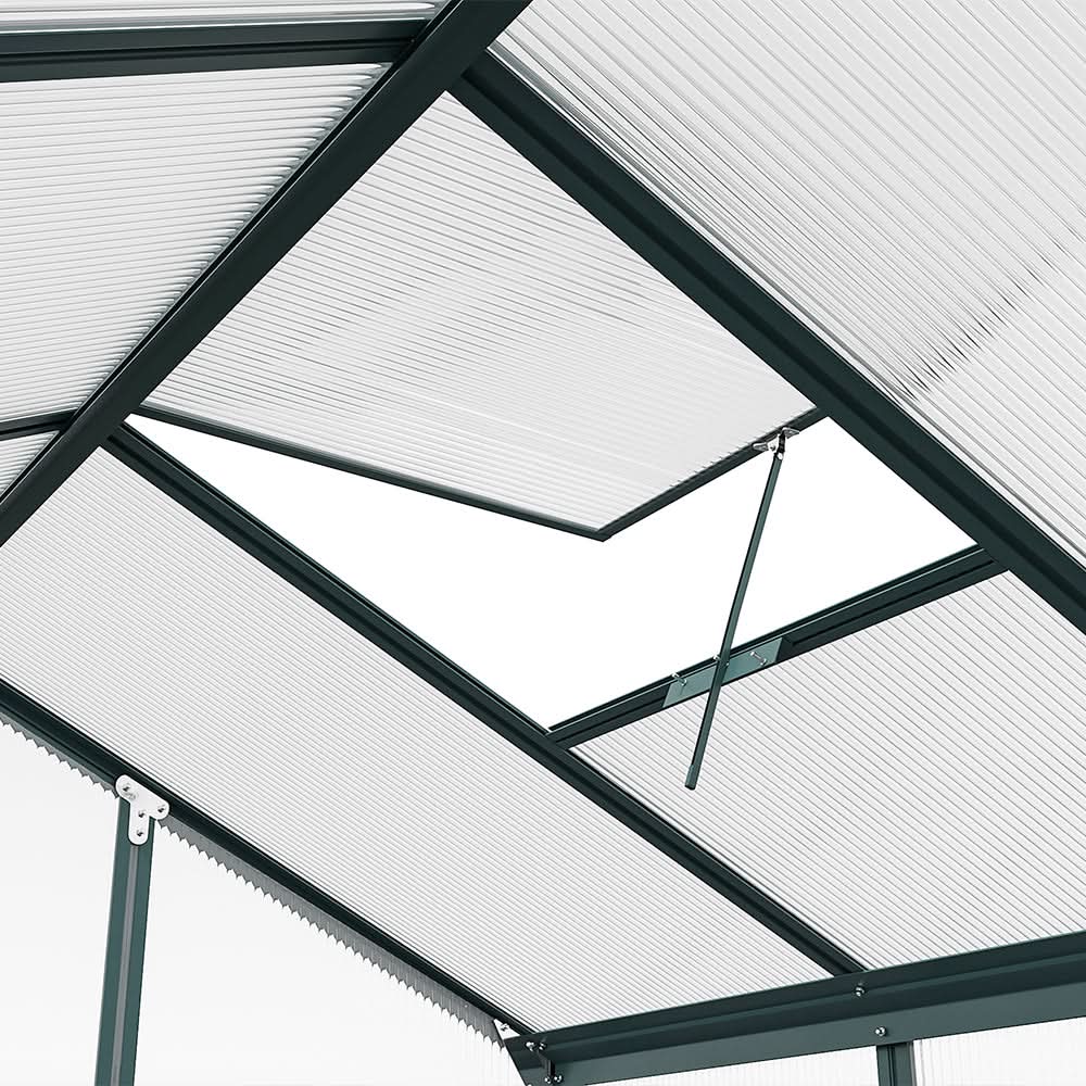 4×6 ft/ 6×6 ft/ 8×6 ft/10' x 6' ft Garden Greenhouse Green Framed with 2 Vents Rain Gutter Setting