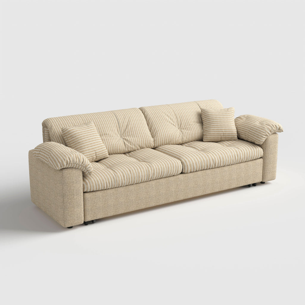 Cottonfy Multifunctional Sleeper Pull Out 2 Seater Sofa Bed with Storage Space