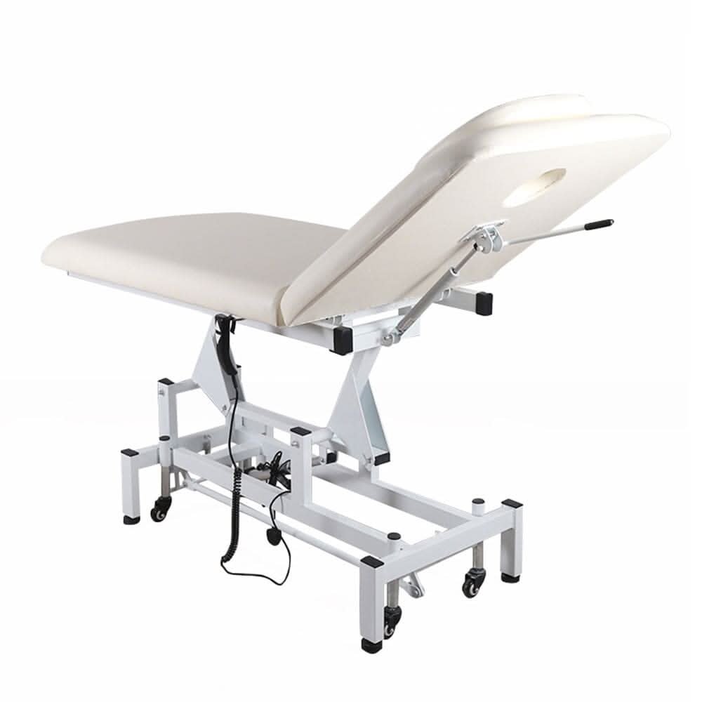 Electric Adjustable Reclining Tattoo Chair - Portable Salon Spa Bed