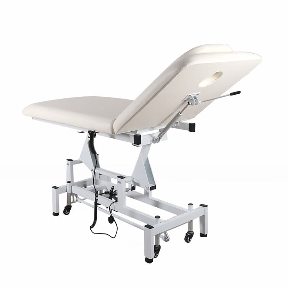 Electric Adjustable Reclining Tattoo Chair - Portable Salon Spa Bed
