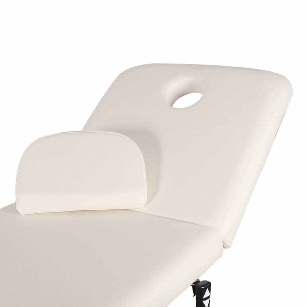 Electric Adjustable Reclining Tattoo Chair - Portable Salon Spa Bed