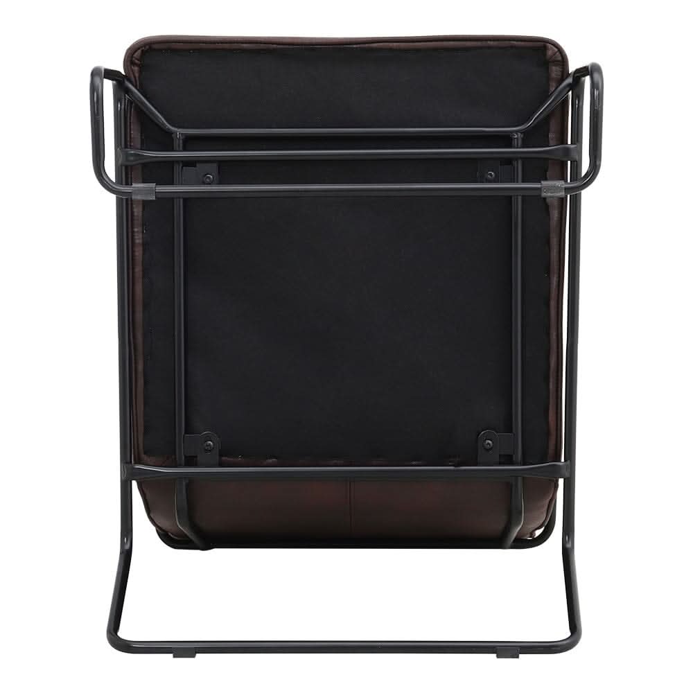 Contemporary Metal Legs Tufted Leisure Armchair
