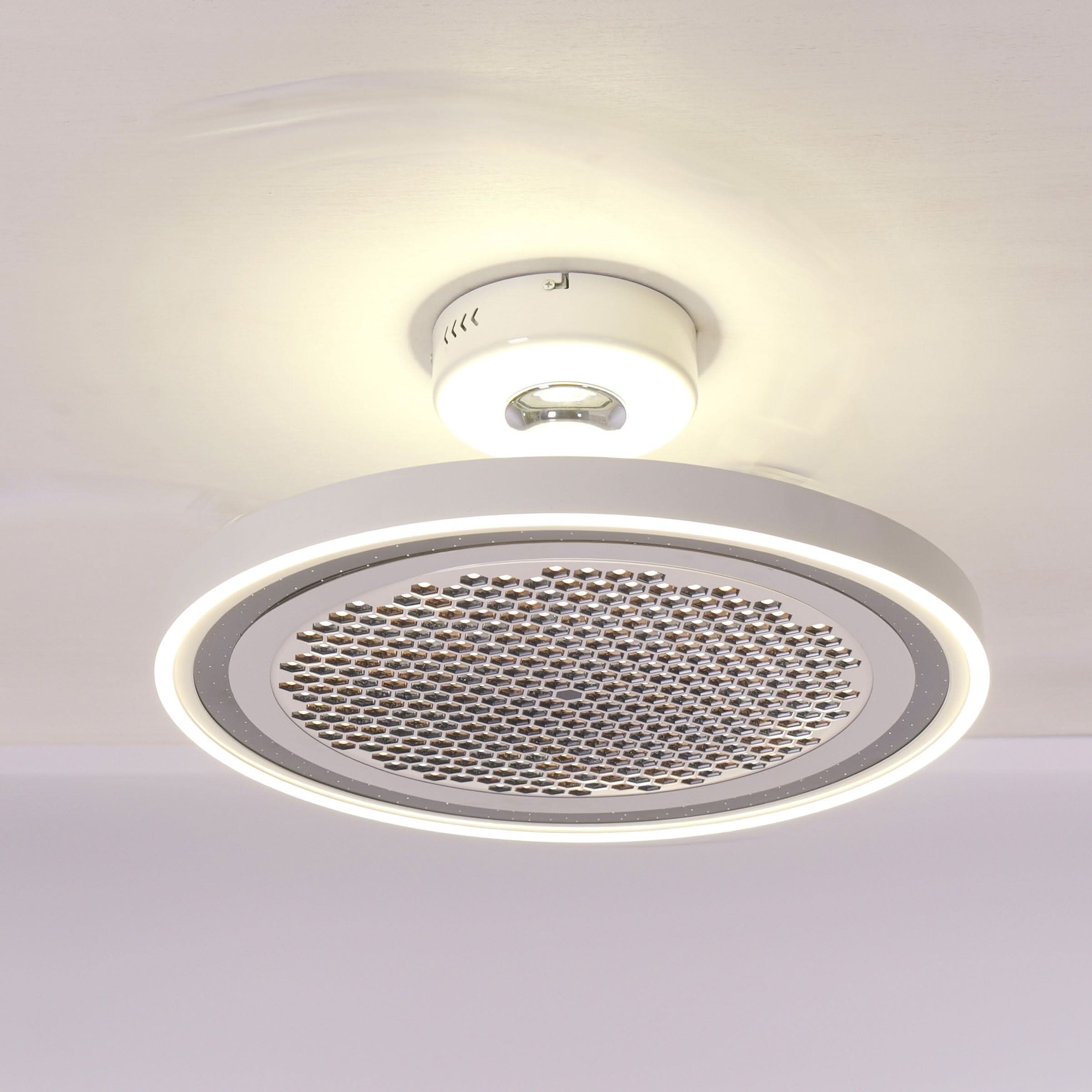 Lightsin 48 Inch Ceiling Fan with Timer and Reversible Motor