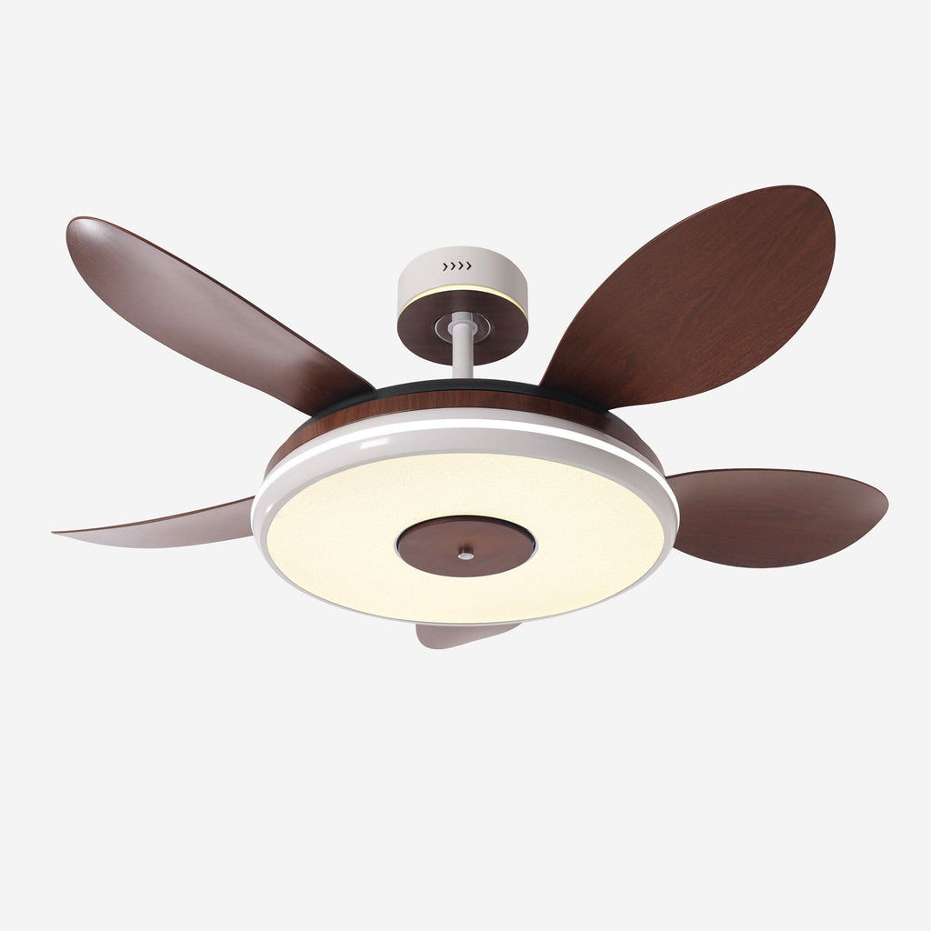 Lightsin 48 Inch Ceiling Fan with Bright LED and Timer Remote