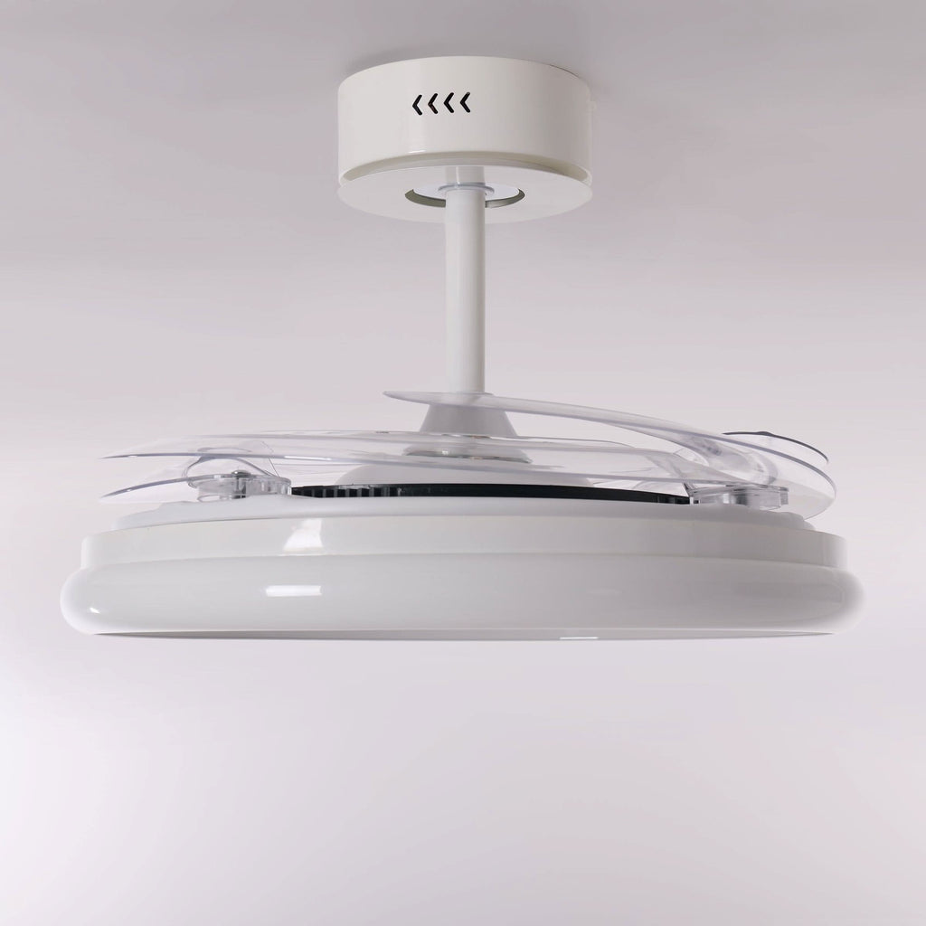 Lightsin 48 Inch Ceiling Fan with Reversible Airflow and Timer
