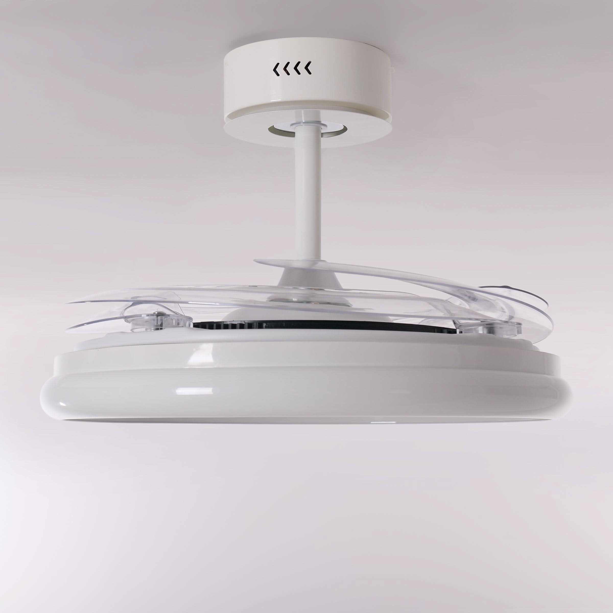 Lightsin 48 Inch Ceiling Fan with Reversible Airflow and Timer