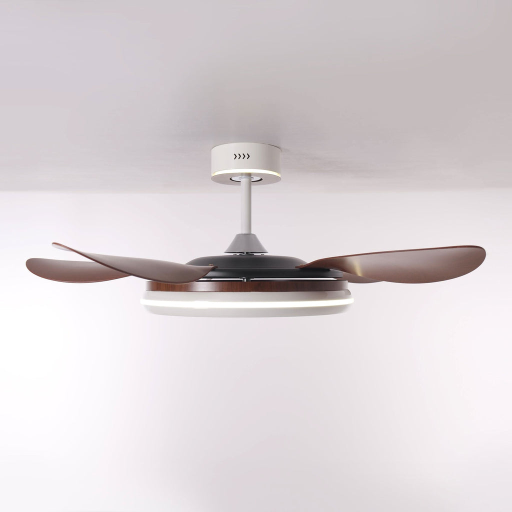 Lightsin 48 Inch Ceiling Fan with Bright LED and Timer Remote