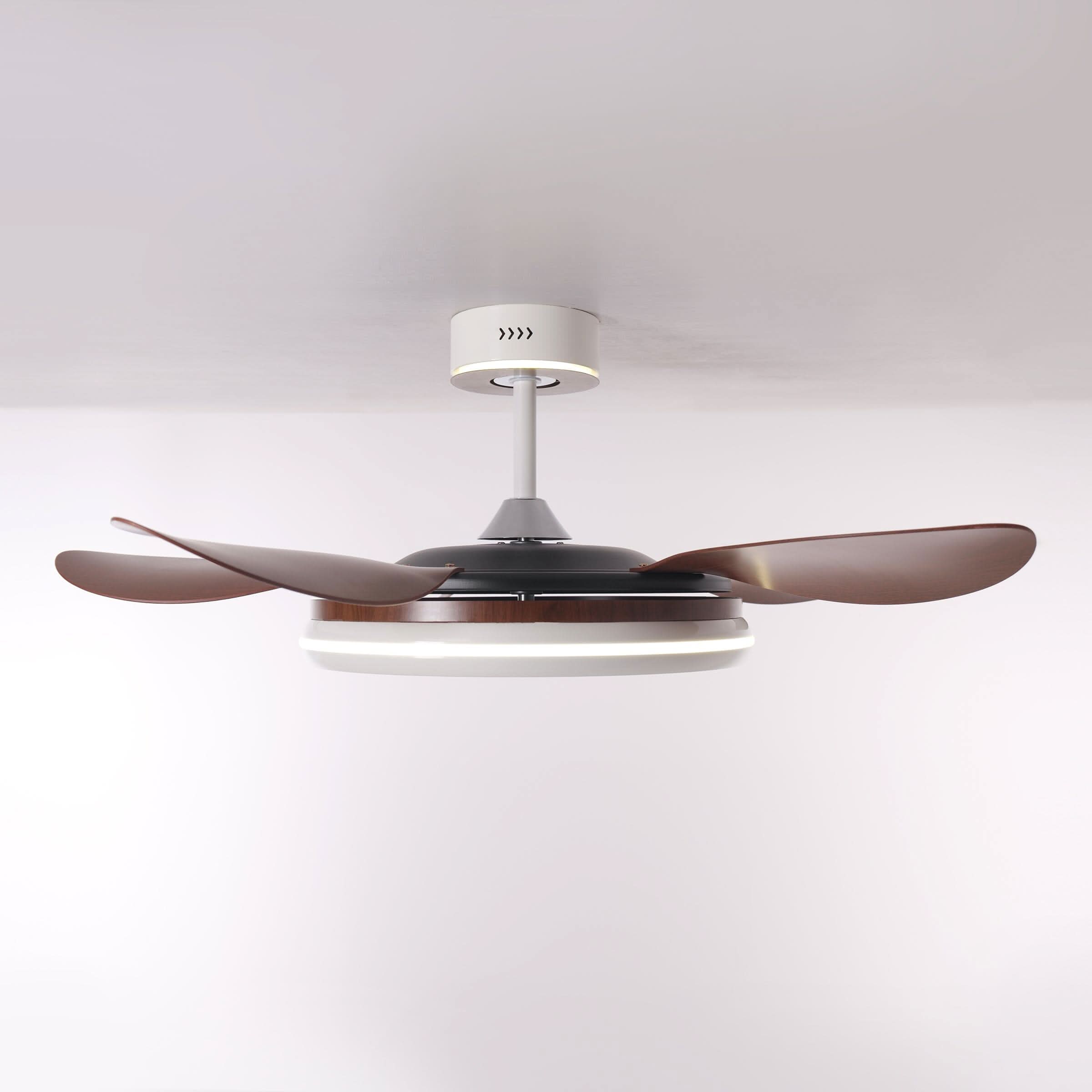 Lightsin 48 Inch Ceiling Fan with Bright LED and Timer Remote