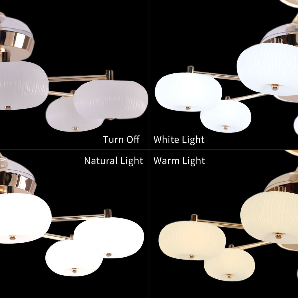 Lightsin Ceiling Fan Light with 6-Speed Control in Copper and Acrylic