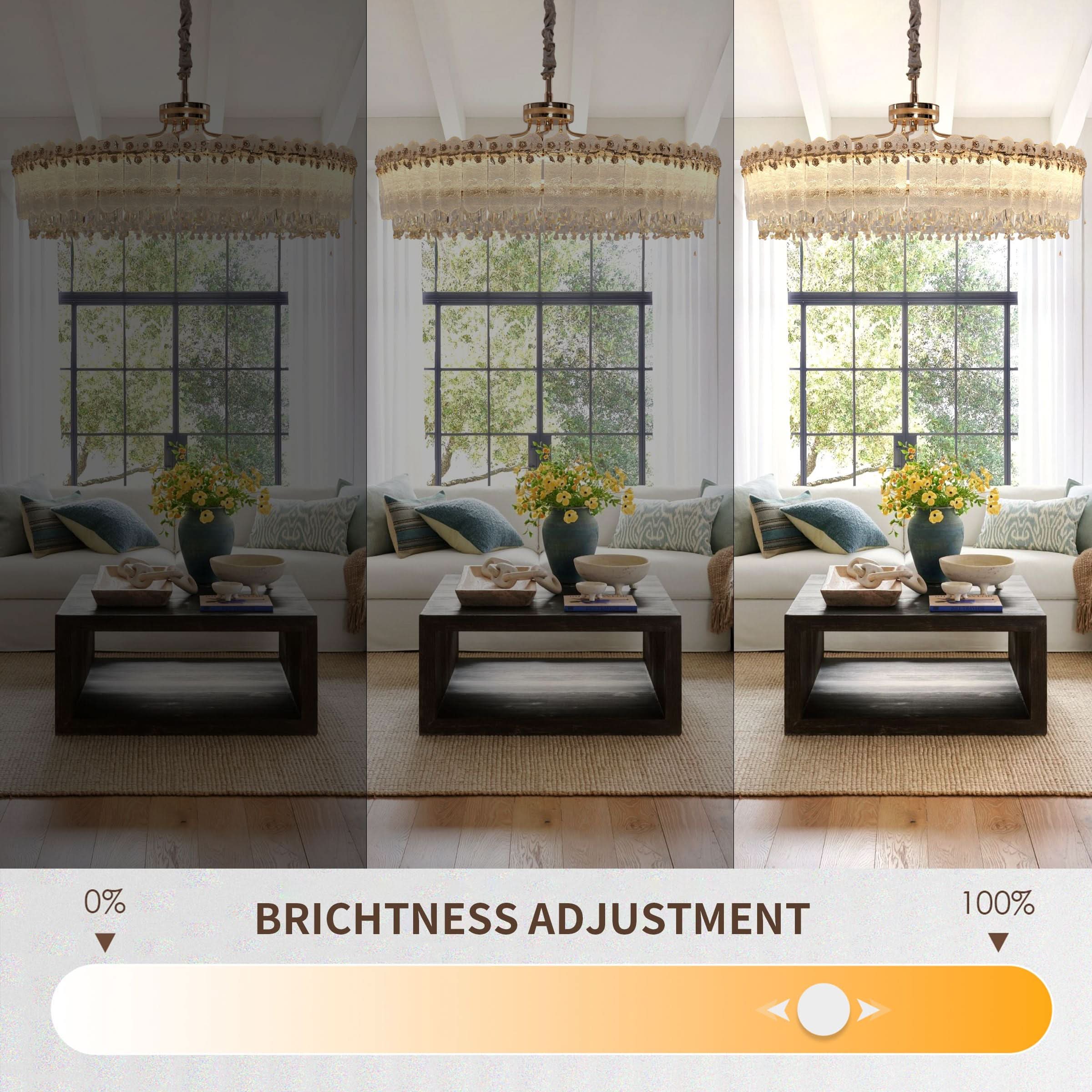 Lightsin Contemporary Crystal Pendant Light Oval and Round Dimmable Ceiling Fixture for Living Room and Hall