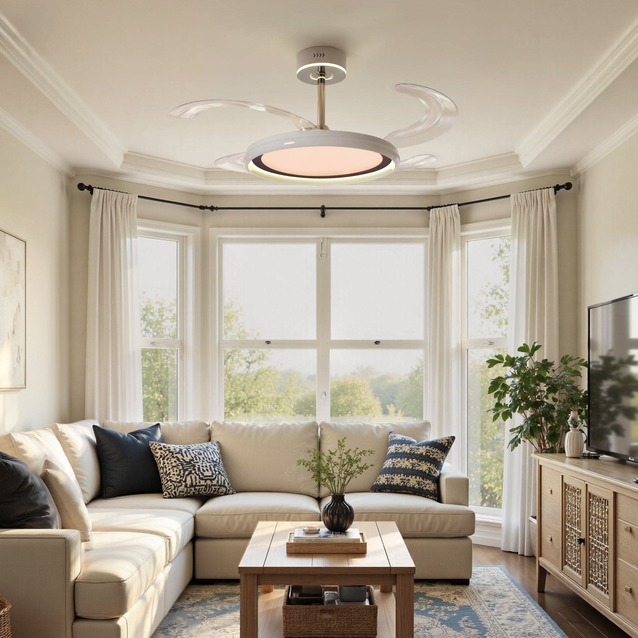 Lightsin 48 Inch Ceiling Fan with Reversible Airflow and Timer