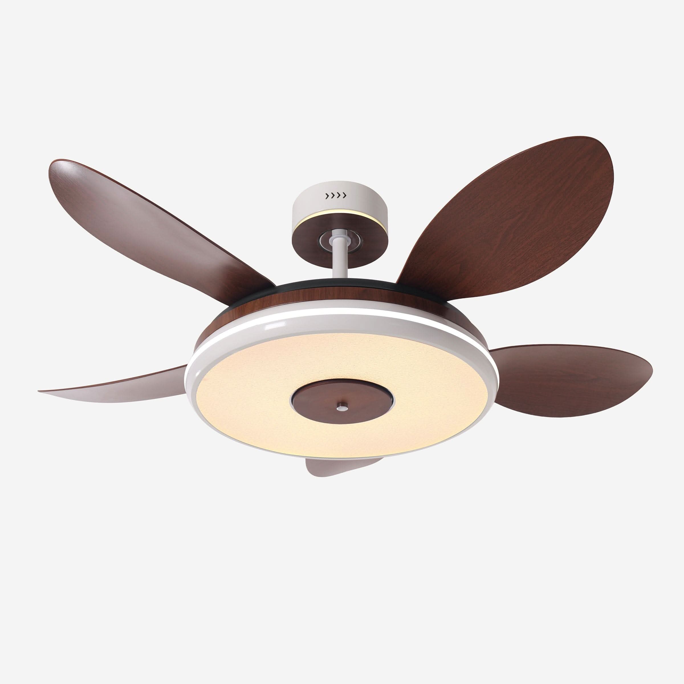 Lightsin 48 Inch Ceiling Fan with Bright LED and Timer Remote