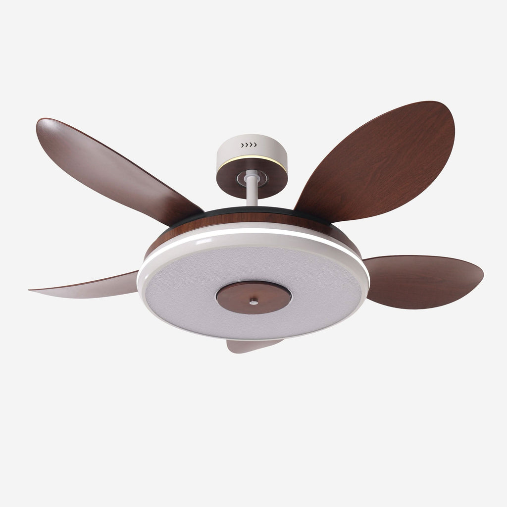 Lightsin 48 Inch Ceiling Fan with Bright LED and Timer Remote